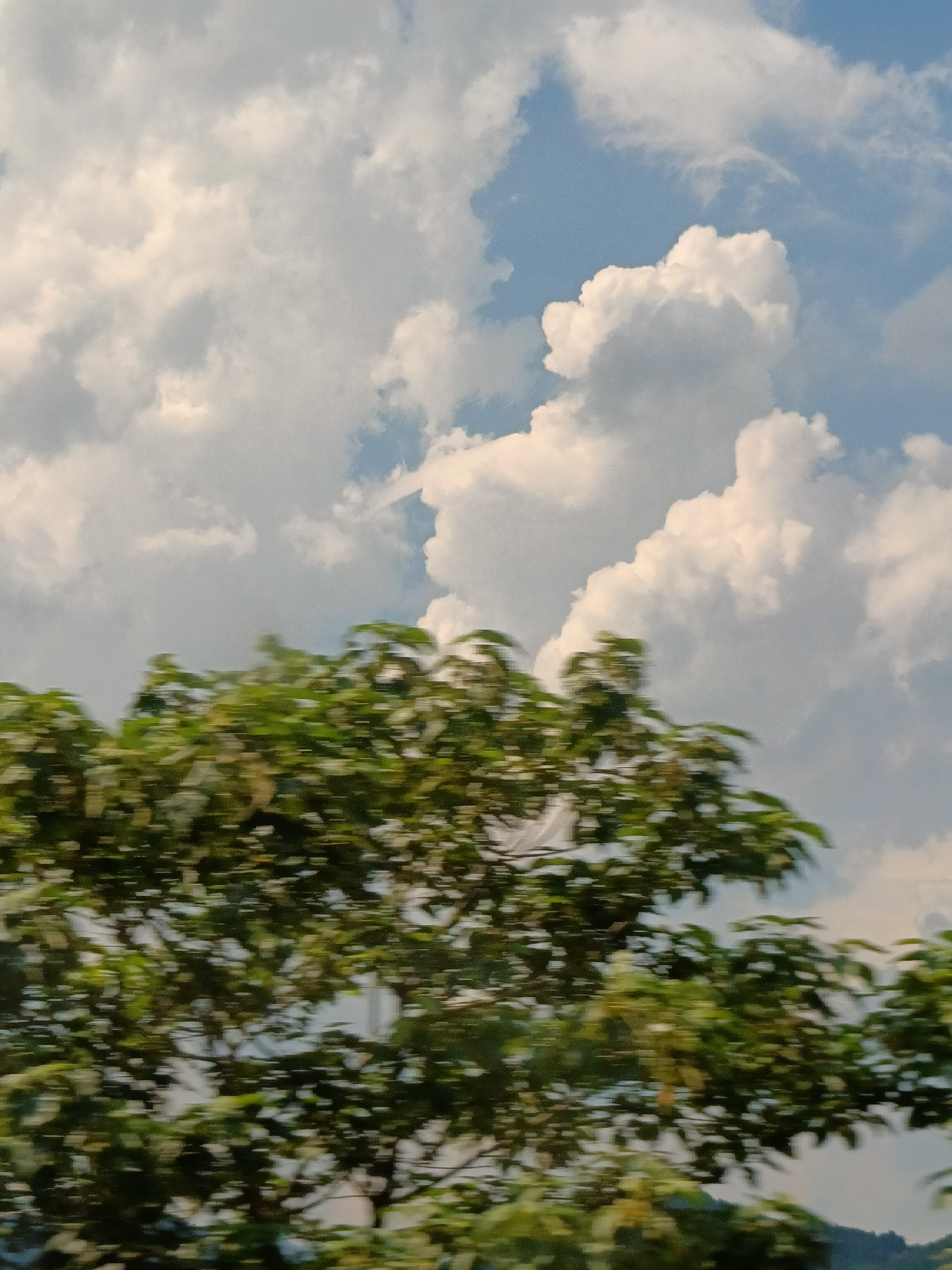 我可以树洞倾听者，写20字文案