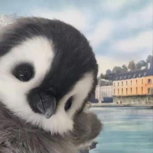 我可以帮你找到感情中的一些答案