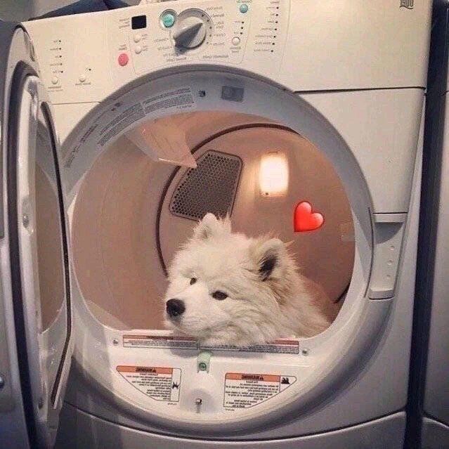 我可以监督你，当你的一个闹钟或者原神陪玩