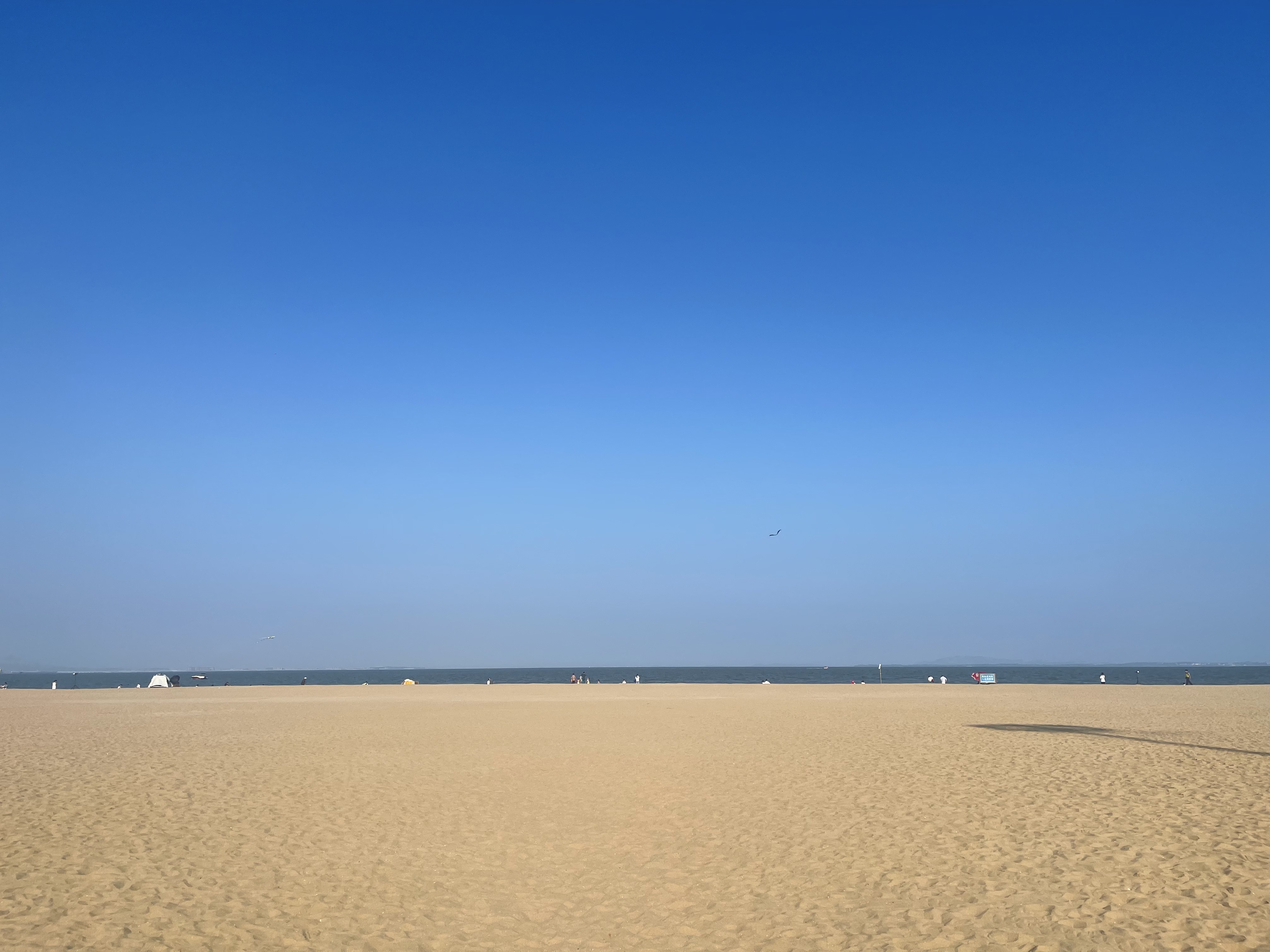 我可以微信运营、微信数据统计、1份ppt排版美化