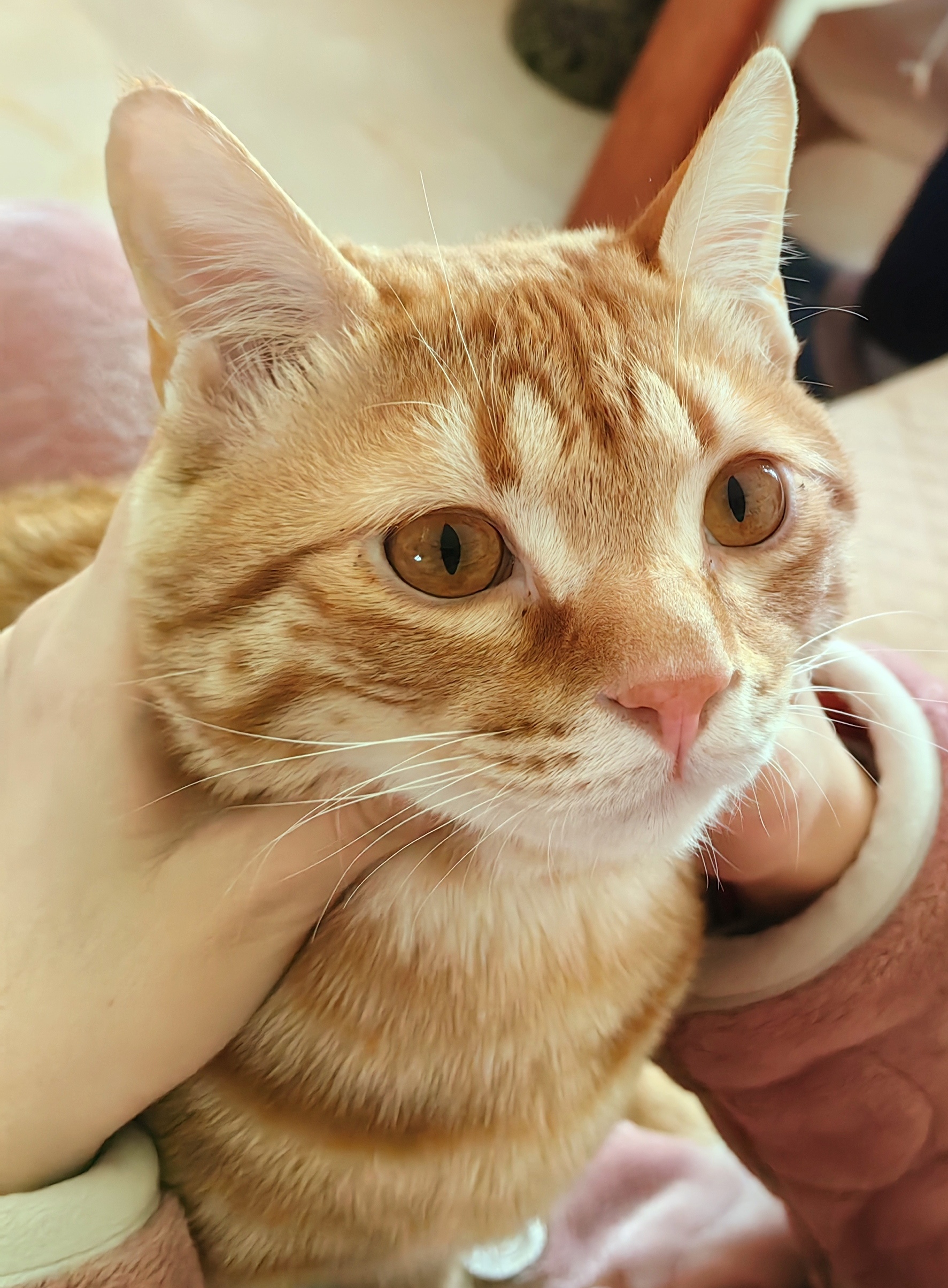 我可以完成500字的知乎/微博等渠道的产品宣传文案的编写