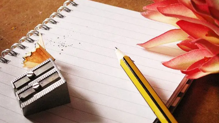 我可以制作20页以内的PPT，财经类专科论文1000字以内，简单中英文翻译和英文写作