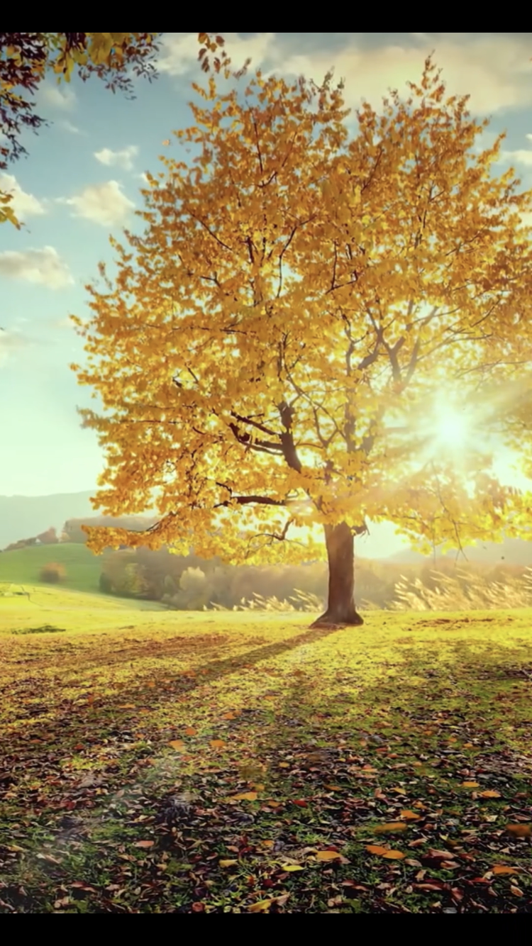 我可以在线心理咨询60分钟