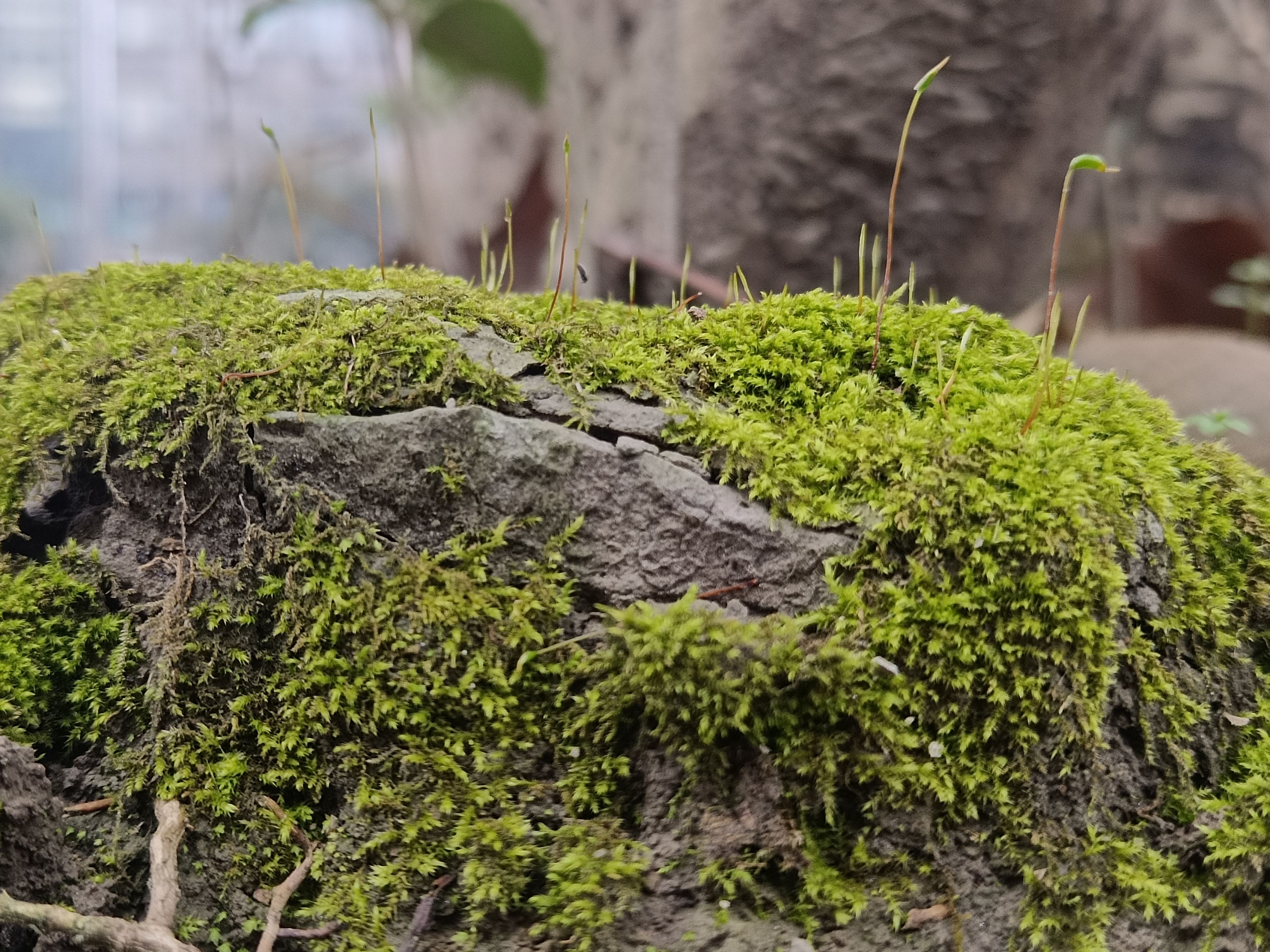 我可以一起畅游峡谷