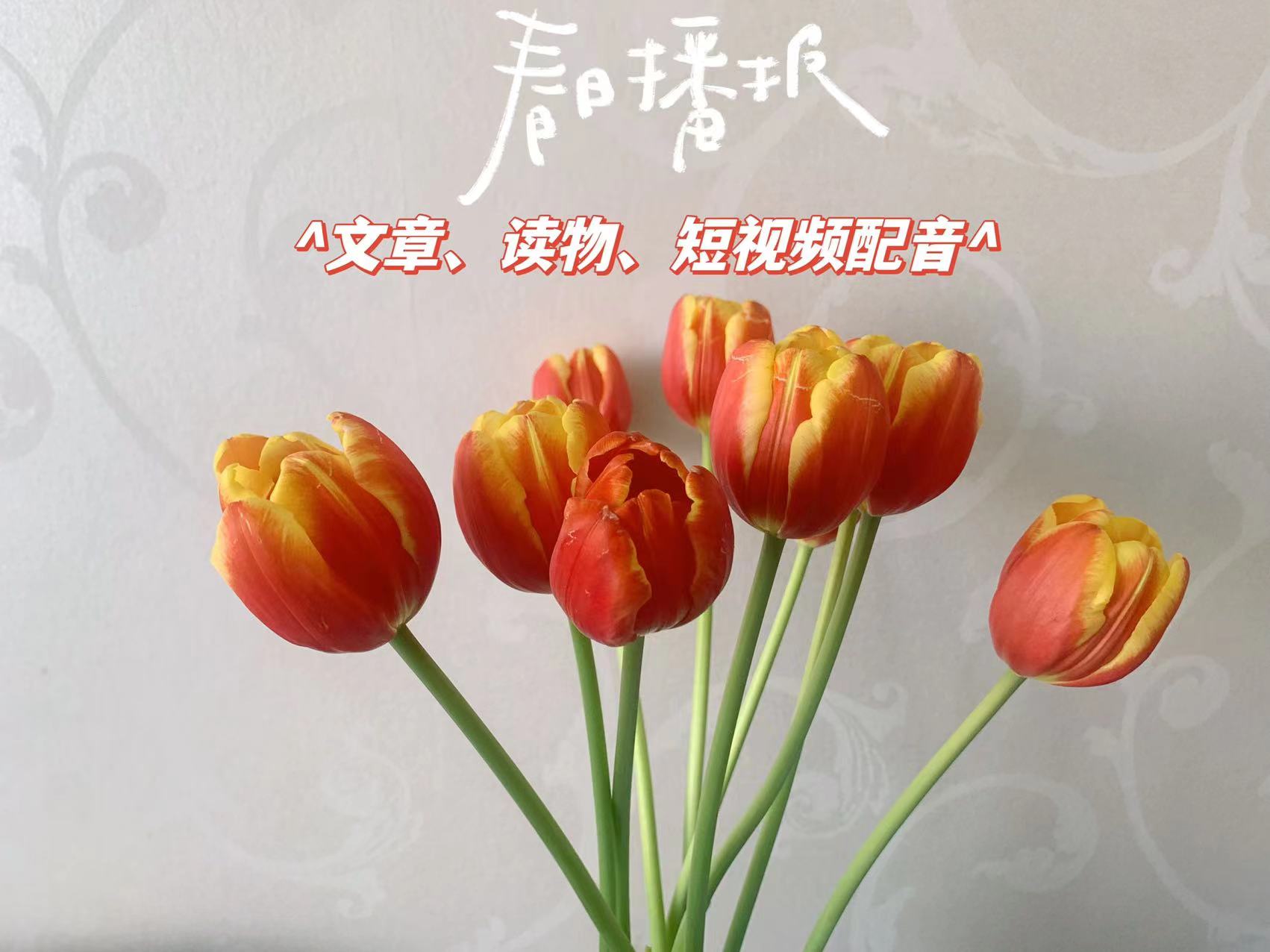 我可以完成15秒视频 儿童绘本 文稿等配音