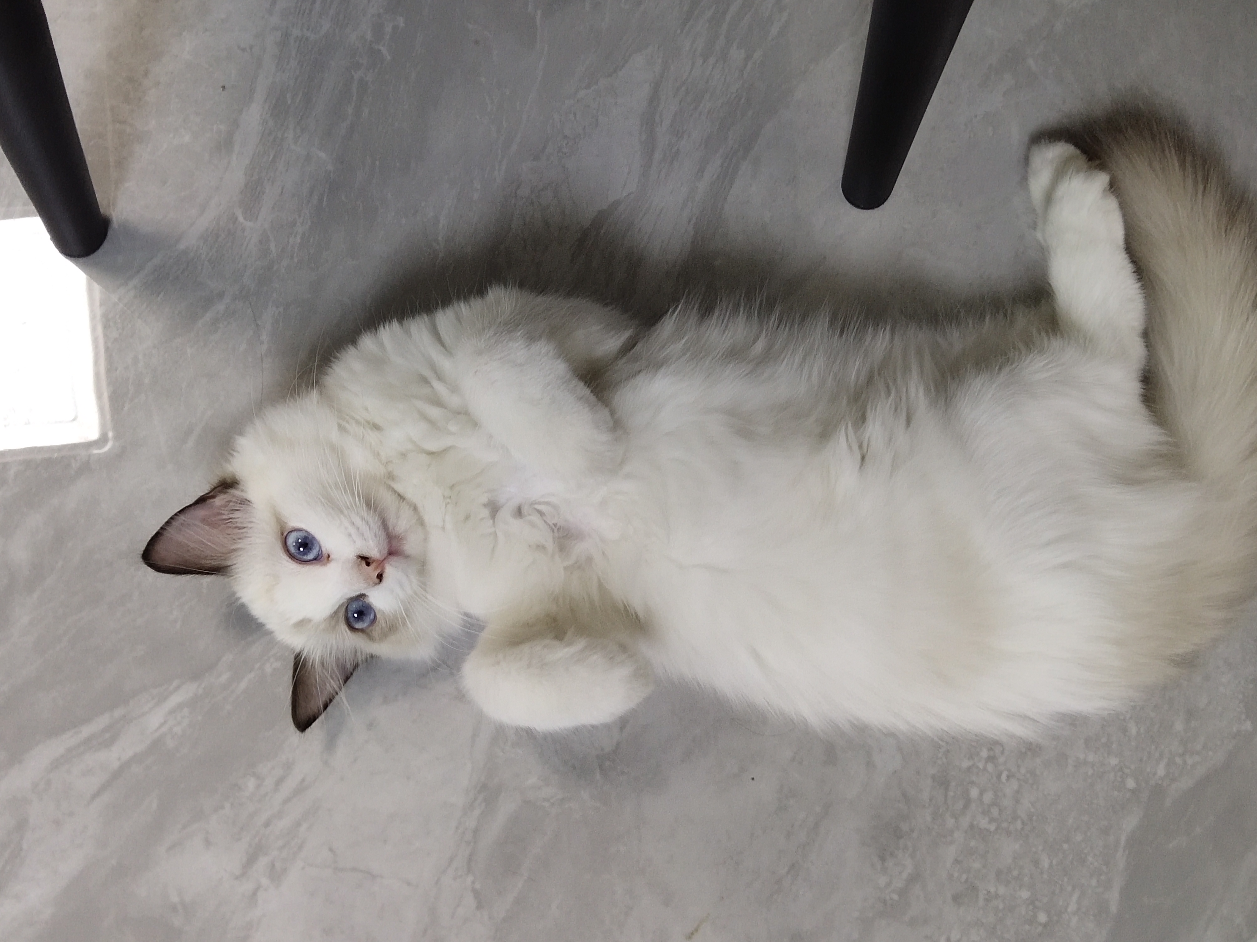 我可以王者荣耀上分或娱乐两小时