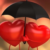 我可以负责一个项目的功能和接口的测试