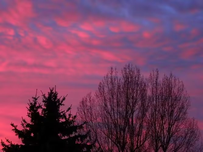 我可以写一篇千字文章，也可以提供唯美的文案