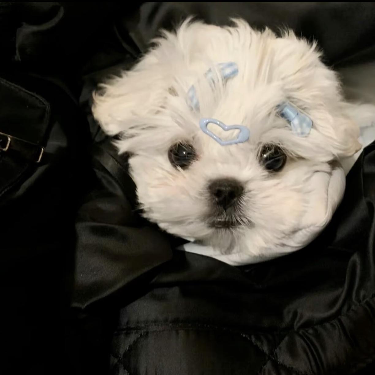 我可以配音一段十五秒的视频