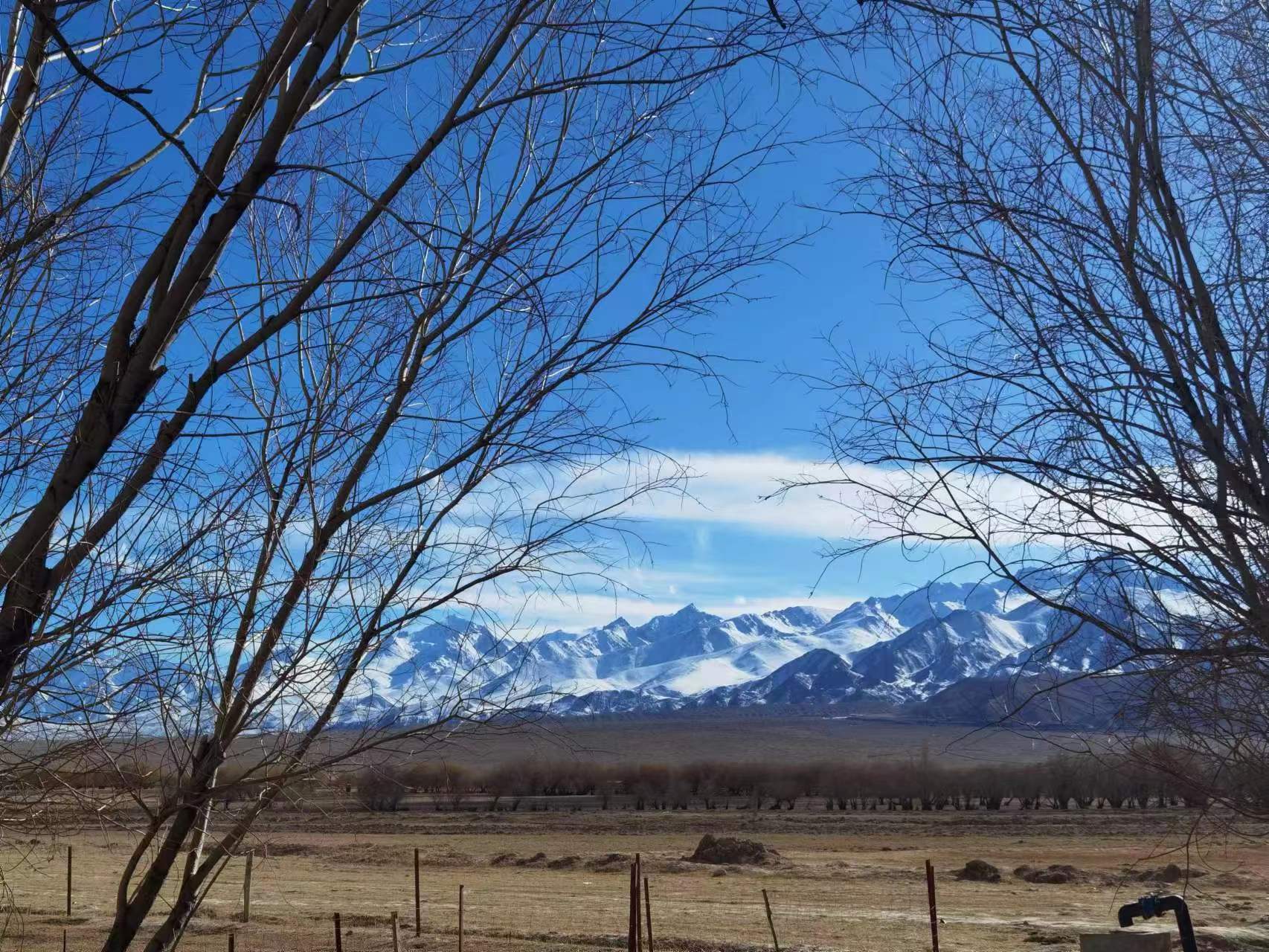 我可以完成一份ppt制作