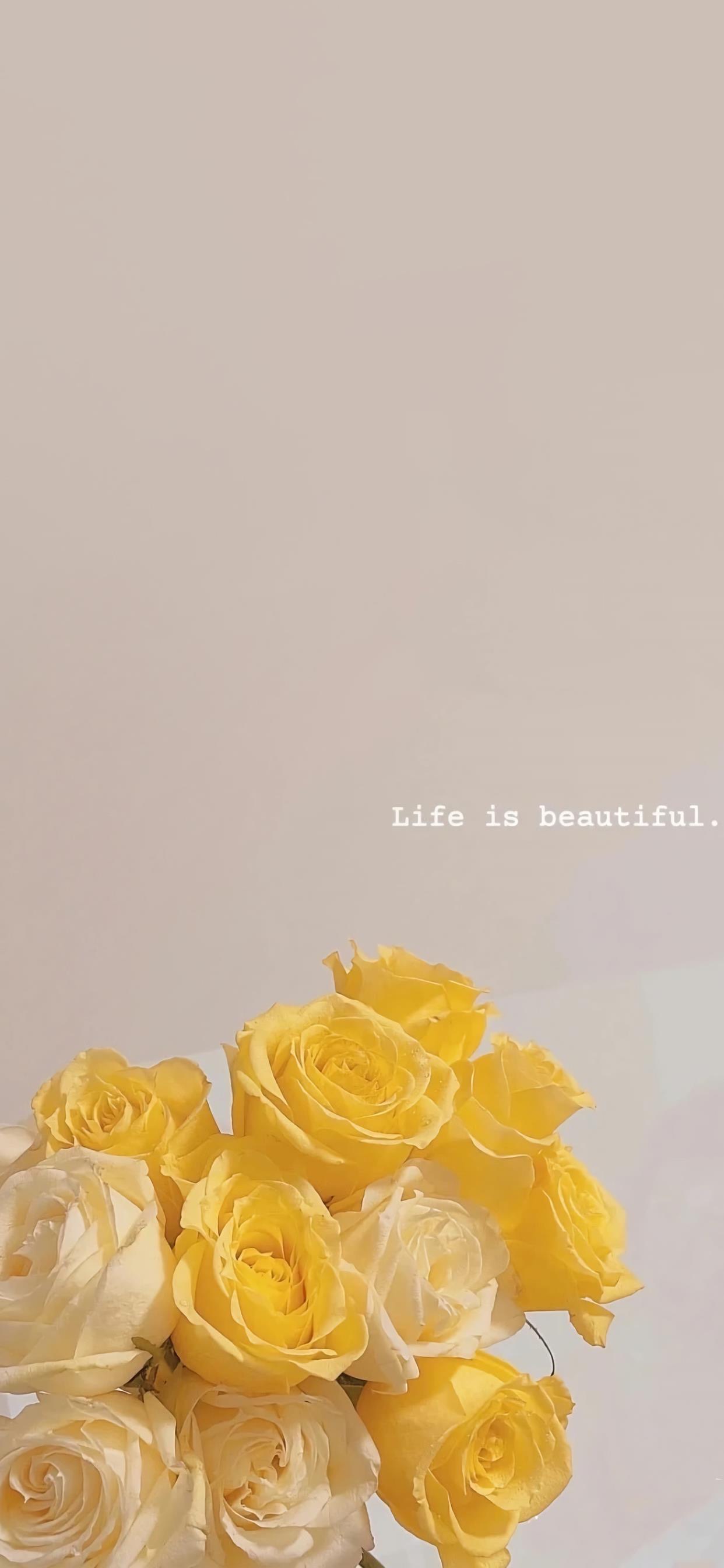 我可以对新媒体账号进行诊断并出具1份调整报告