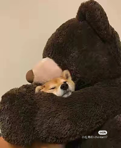 我可以陪你离开情绪泥沼，1小时内尽情倾诉。