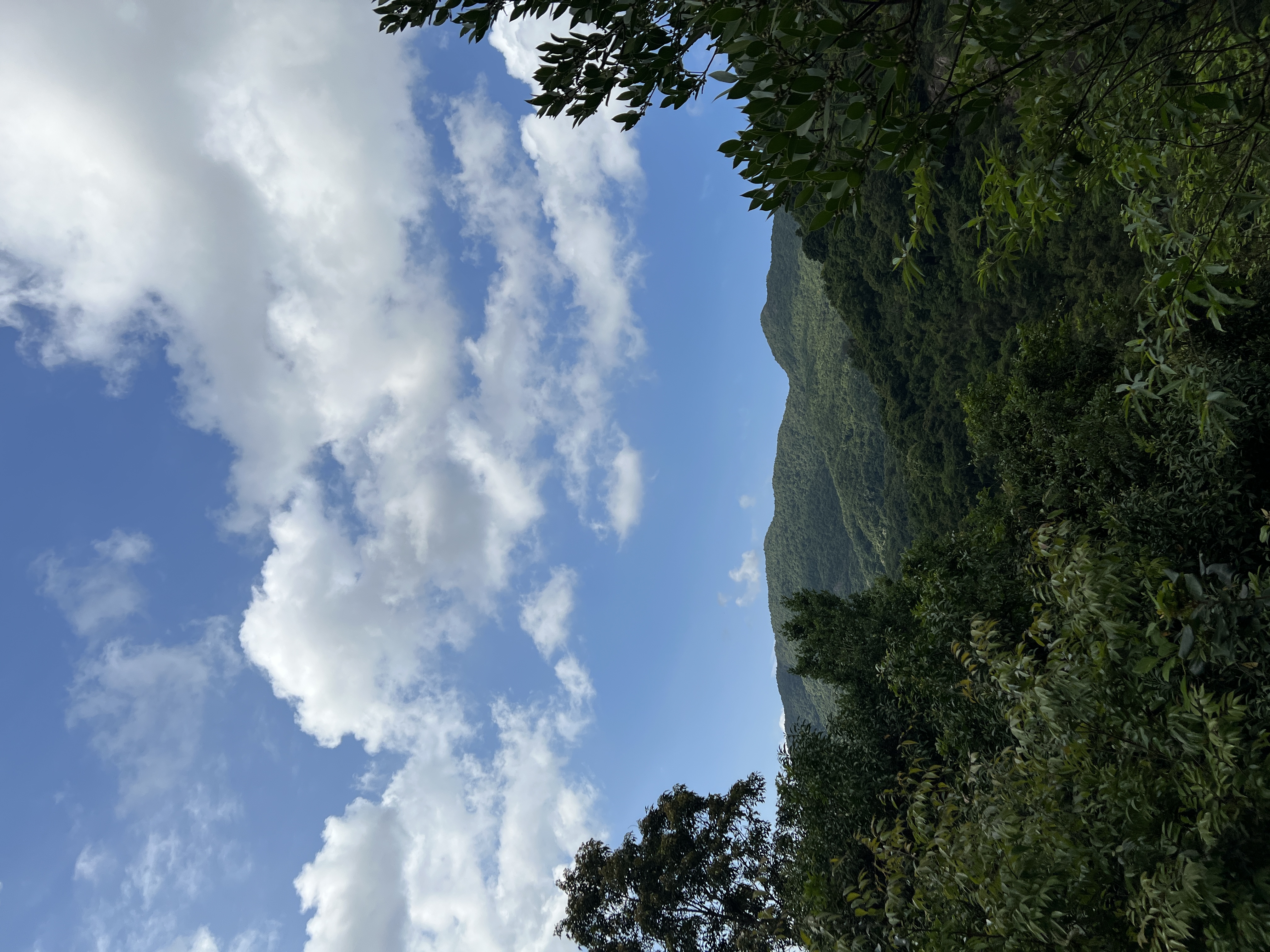 我可以完成1张年终总结PPT