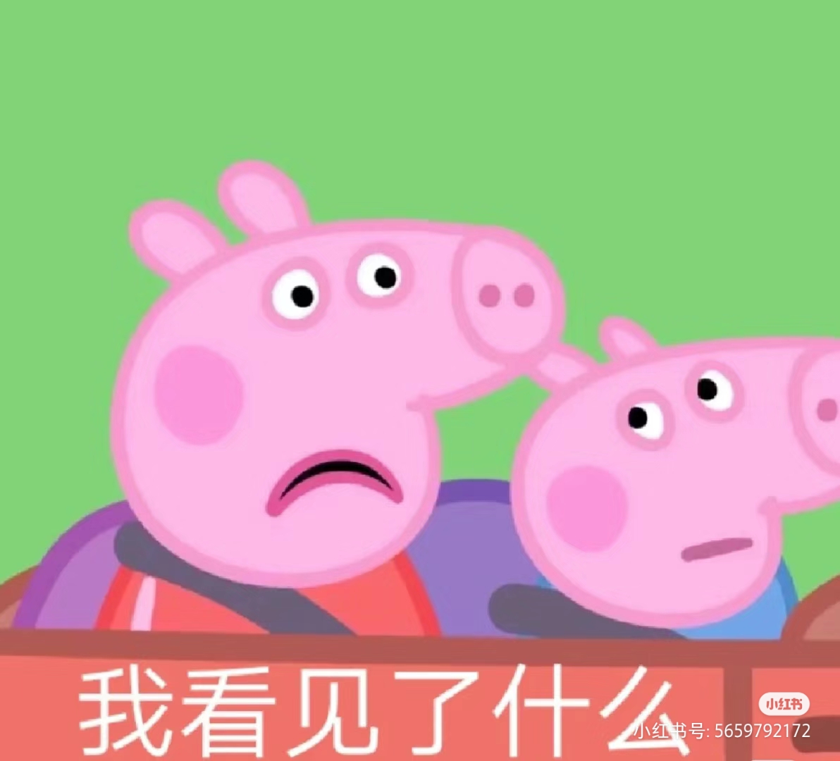 我可以帮做很多事，很靠的1