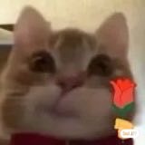 我可以叫你起床，不限次数你随意+陪聊+陪打游戏+帮你打字60字每分钟随叫叫随到能帮上忙帮什么忙