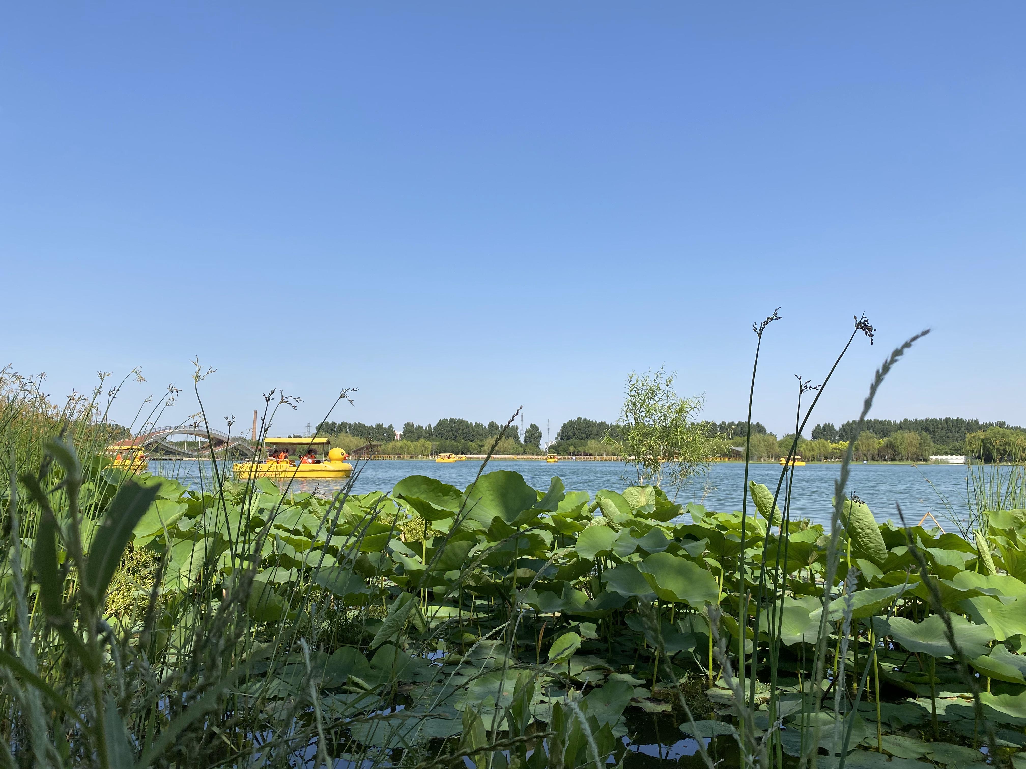 我可以独立完成一个业务模块后端业务组件开发