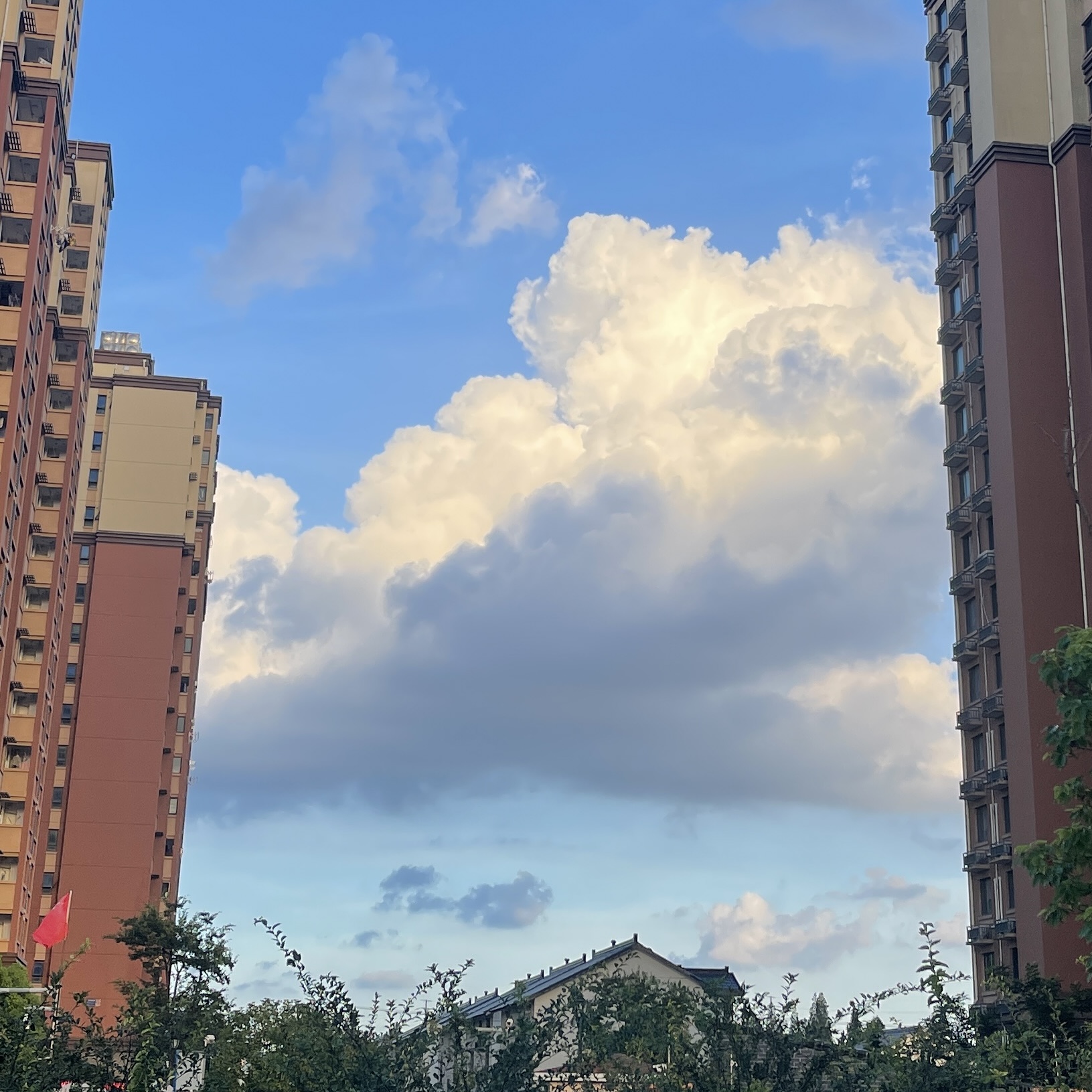 我可以做15秒视频审核