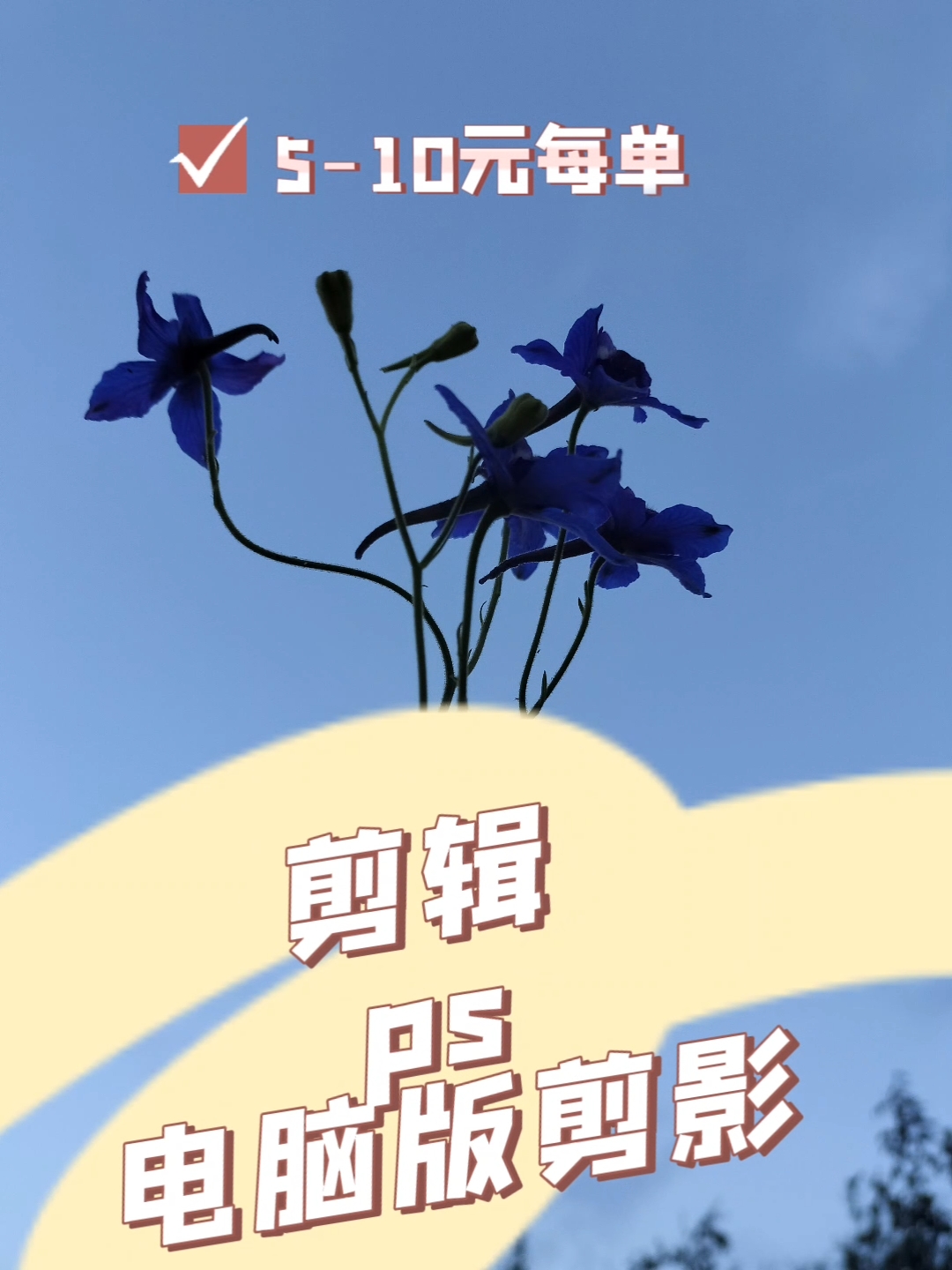 我可以大学习学影视文学专业，想帮别人剪辑视频，价格在5元到10，