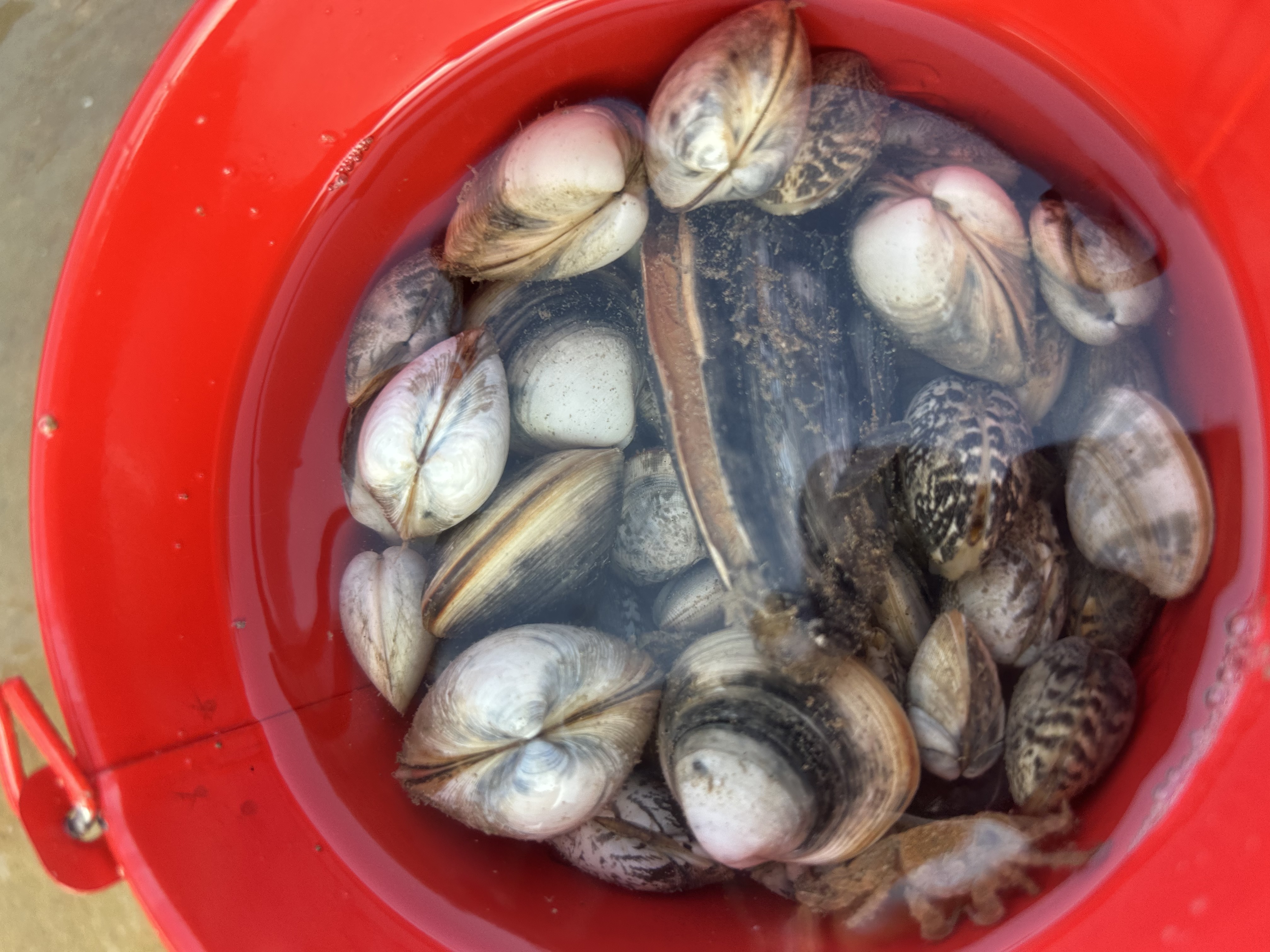 我可以需求分析师或者项目经理，一周内出基本需求单或原型图