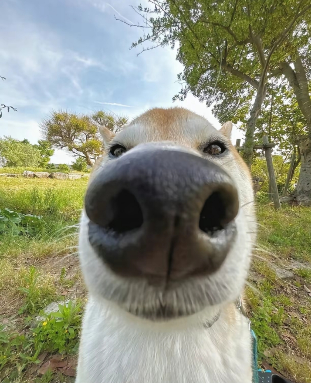 我可以完成建筑设计图纸，可以设计，还可以建模，一张海报，大学主要专业