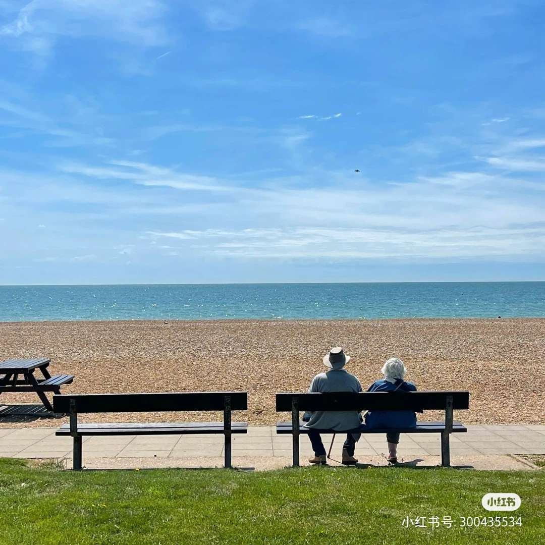 我可以与你一起进行心灵的倾诉  我和你一样 同样是被生在这个世界 感受到世界冷暖 所以  我可以相伴与你
