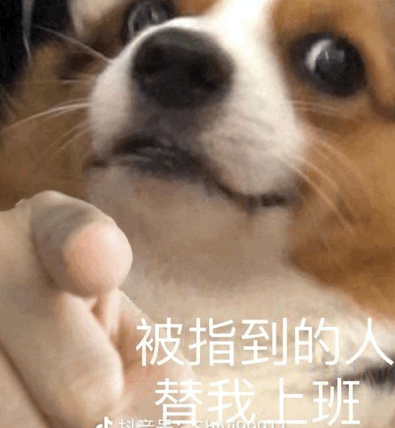 我可以产品设计产品方案1个