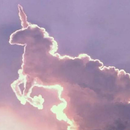 我可以小学奥数辅导一次