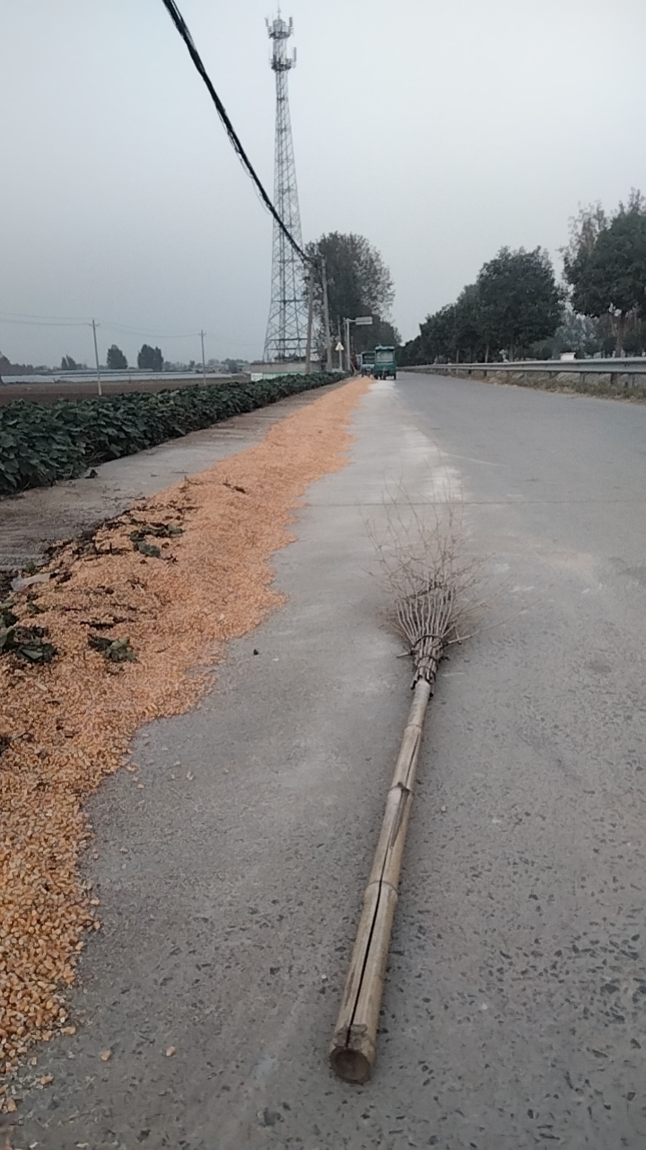 我可以帮别人剪辑视频。15秒视频。