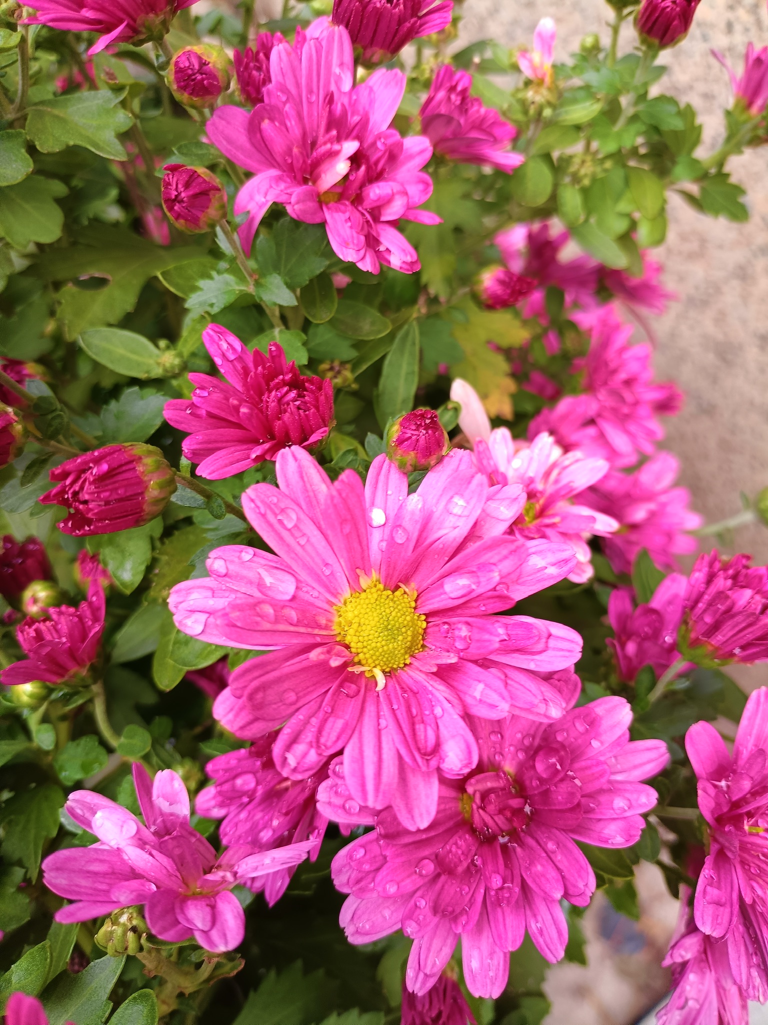 我可以做文案编辑、修改的工作，我是一家出版社的编辑，有一些空闲时间可以利用。