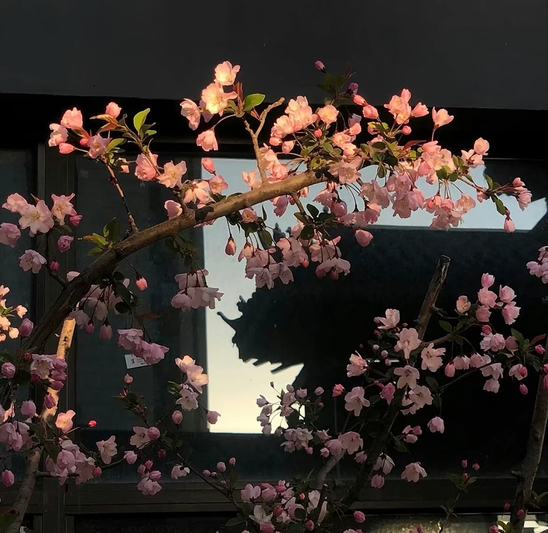 我可以15秒视频剪辑或者海报设计