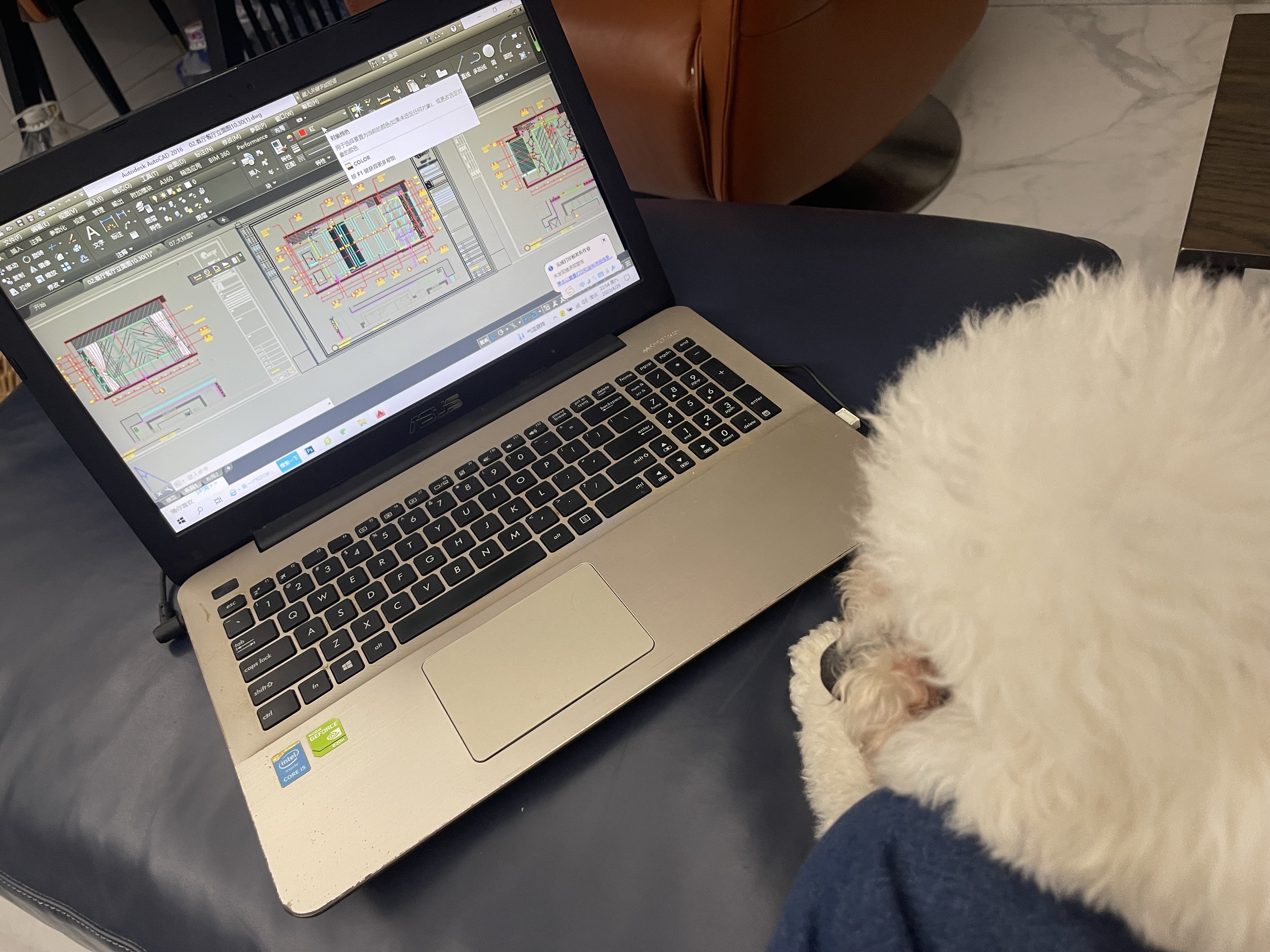 我可以出家装设计的一个平面方案