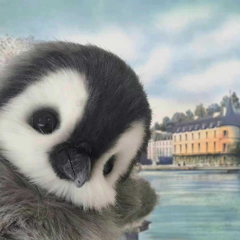 我可以和你一起玩王者荣耀