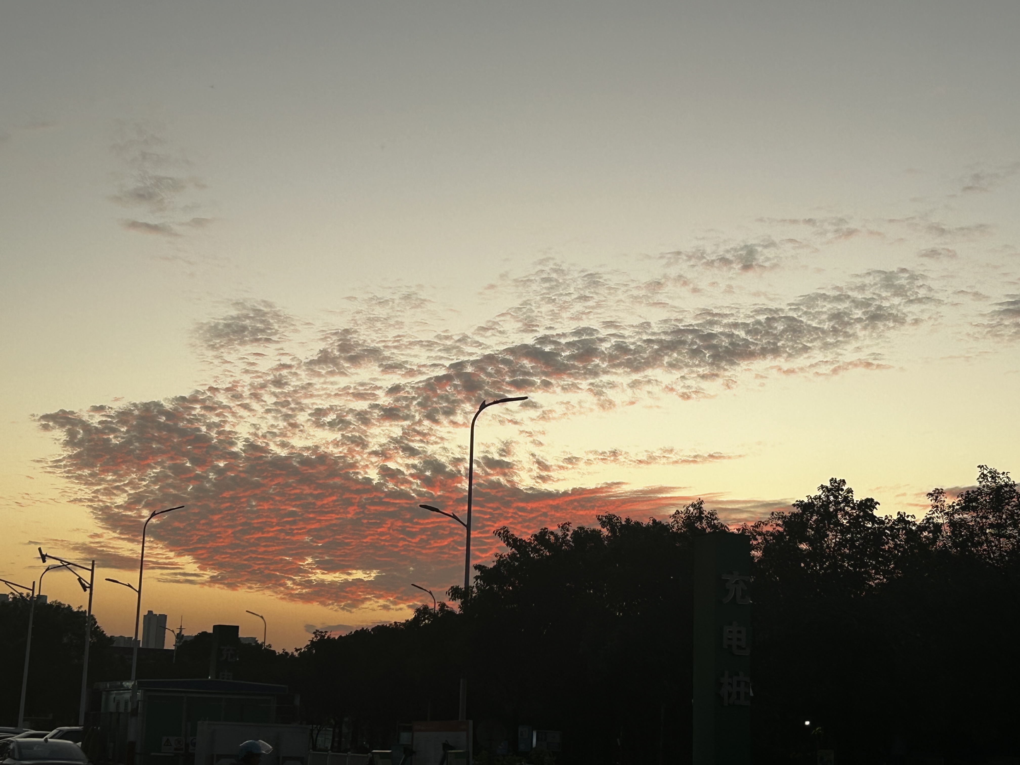 我可以晚上陪你玩2小时的王者荣耀