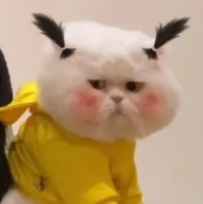 我可以陪玩2小时的原神，永劫无间，王者荣耀