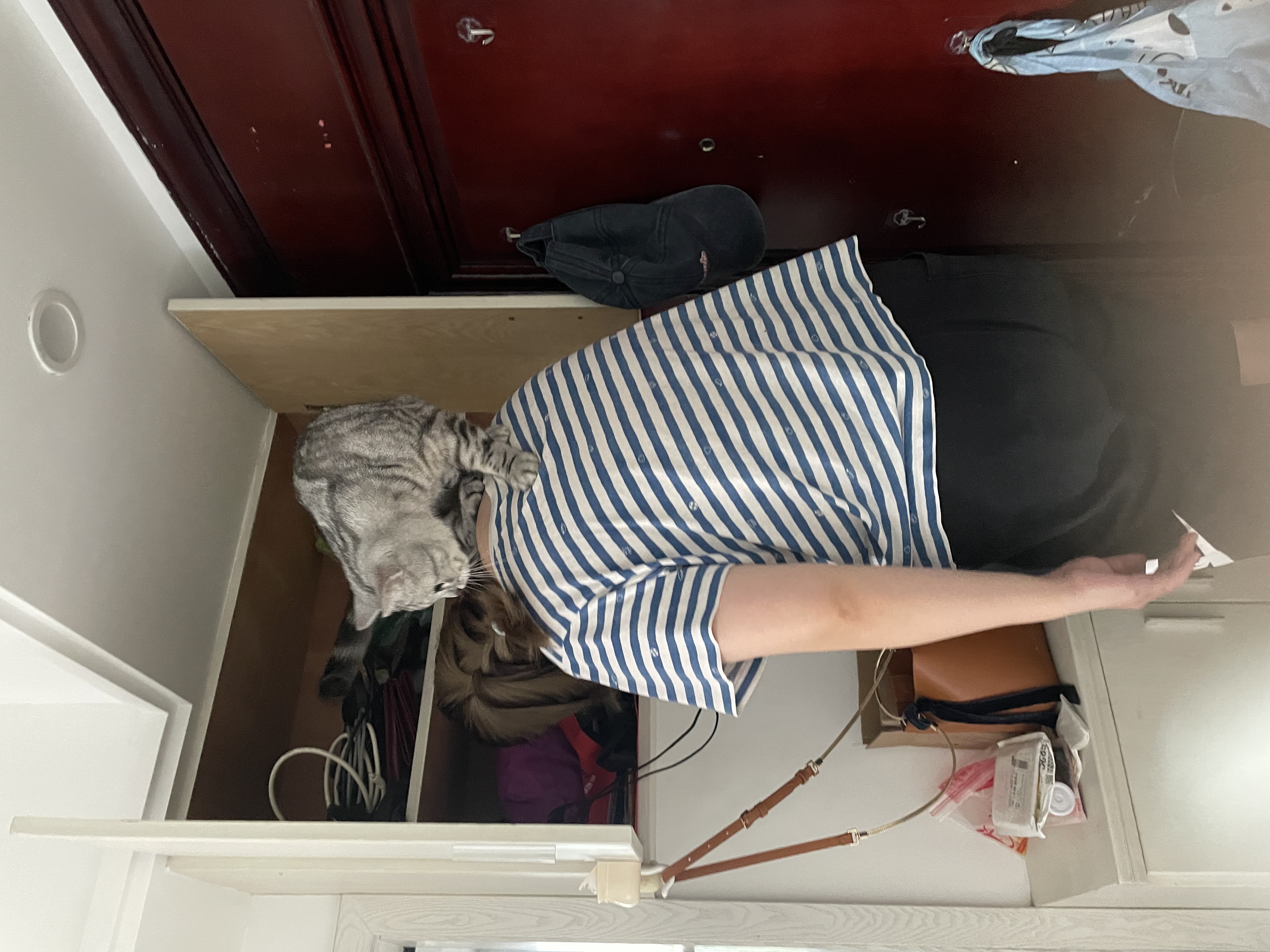 我可以帮你遛一遛狗，喂一只猫，也可以做一些简单的家务，接送孩子，照顾老人