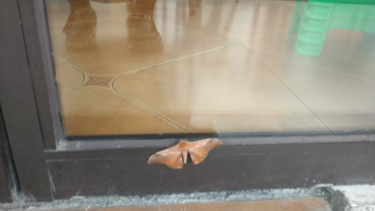 我可以让你大吐为快，然后眉卷云舒，30分钟就可以解决的你情感问题