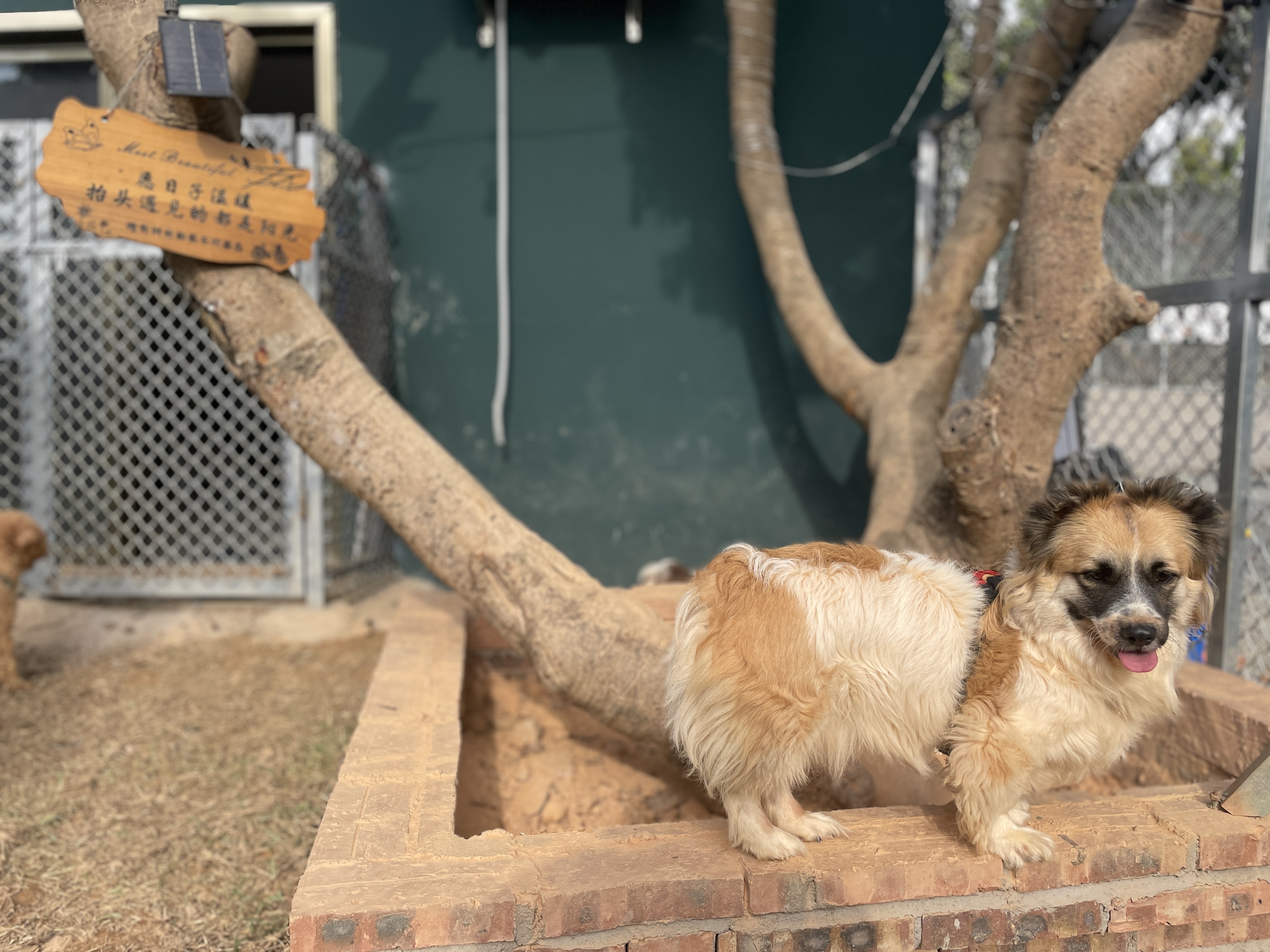 我可以帮你处理10万+的数据，也可以为你写Python脚本自动化处理重复劳动