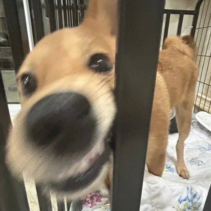 我可以陪玩高能英雄 使命召唤 蛋仔，时间晚上9:00至11:30