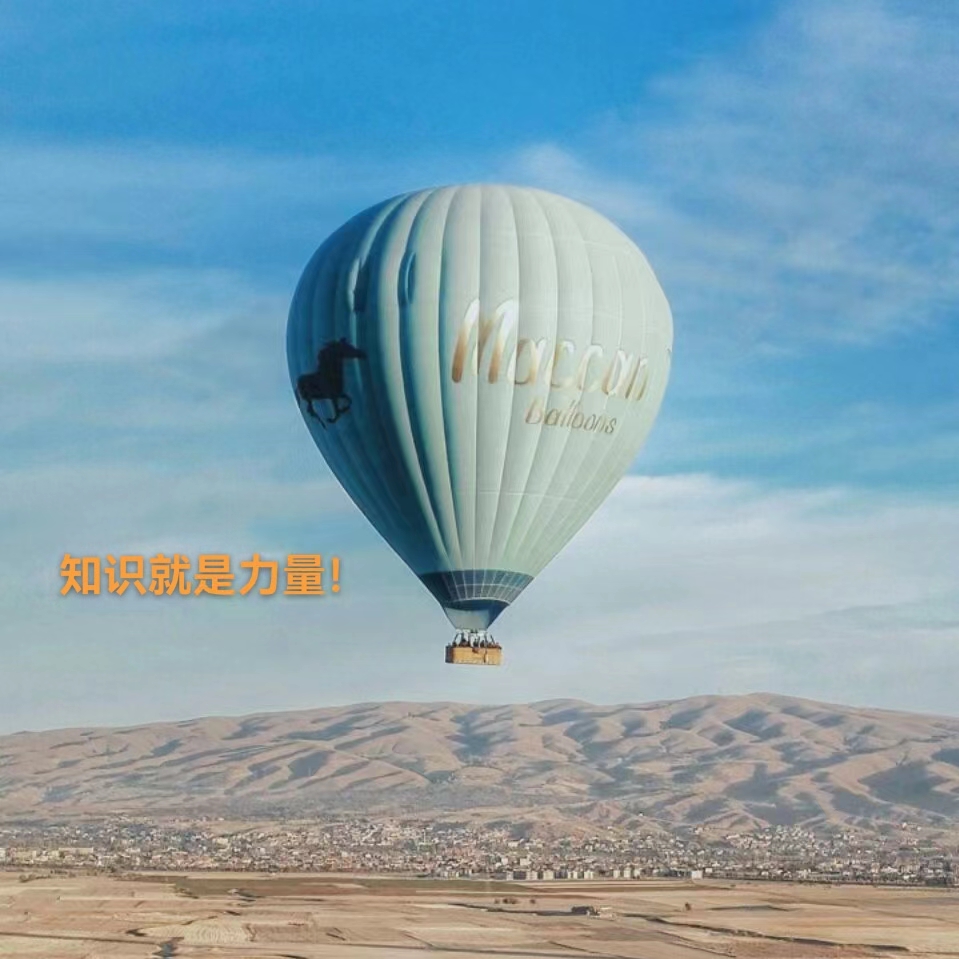 我可以做商业支持中的财务咨询这一件事