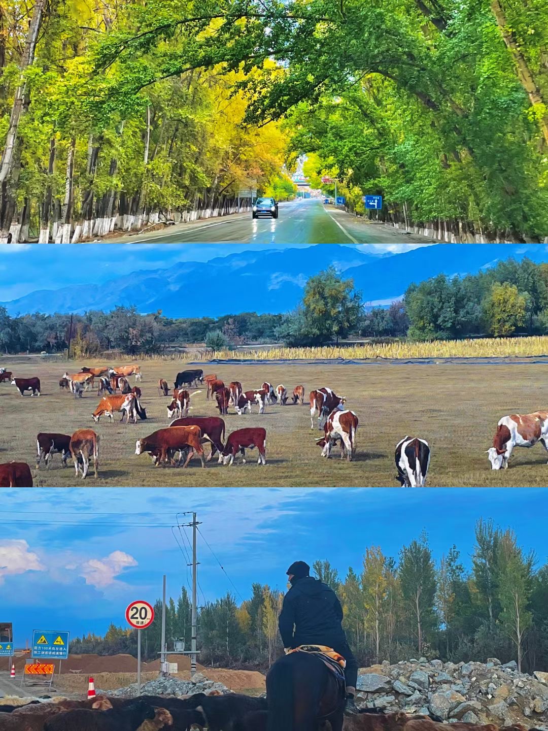 我可以完成15秒视频拍摄