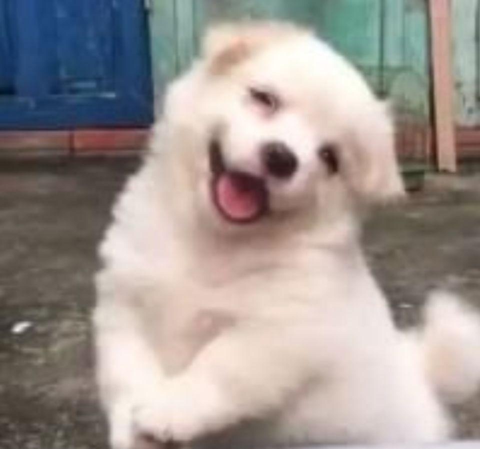 我可以修改1个Java代码bug