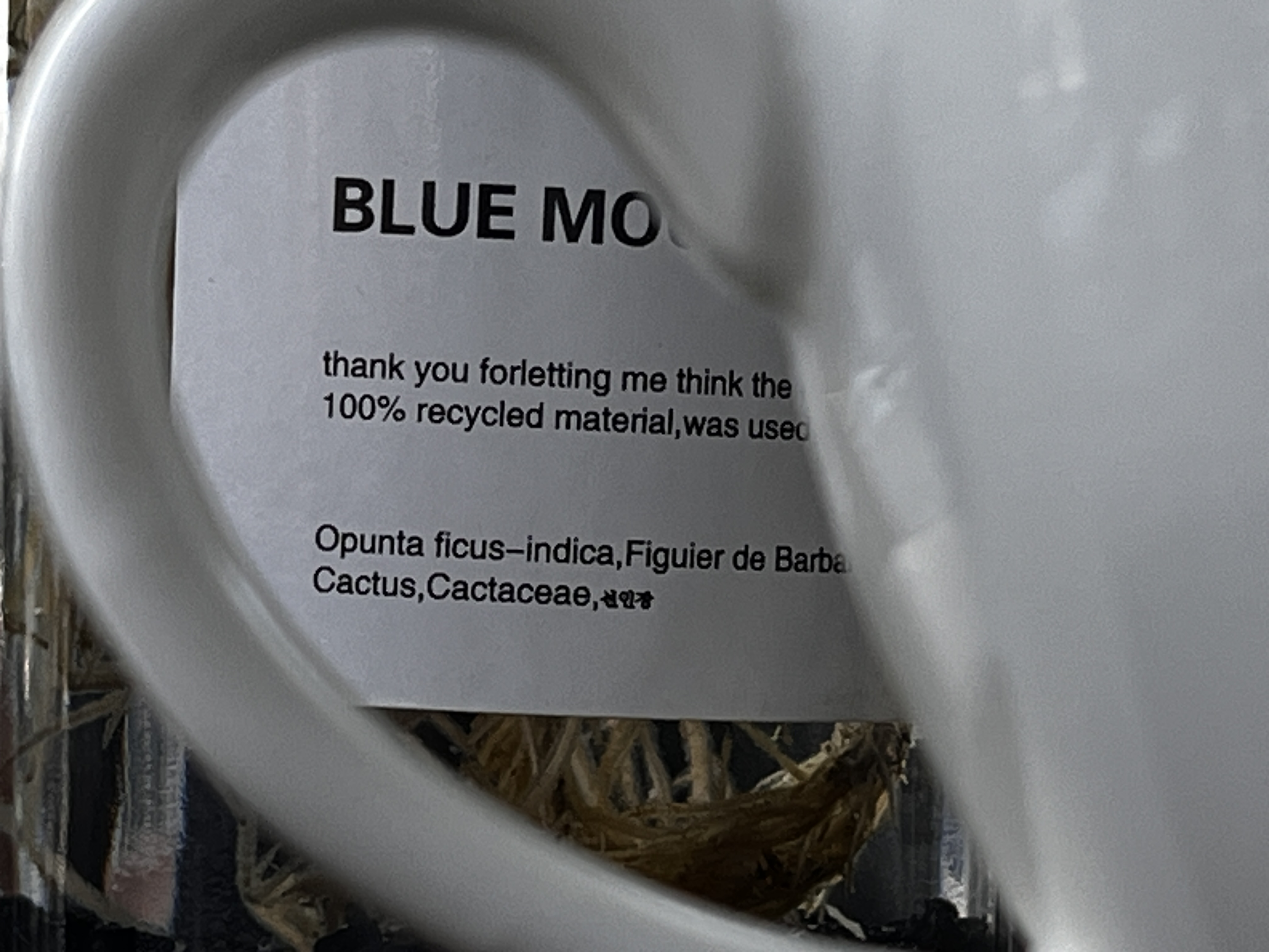 我可以可以设计1个logo