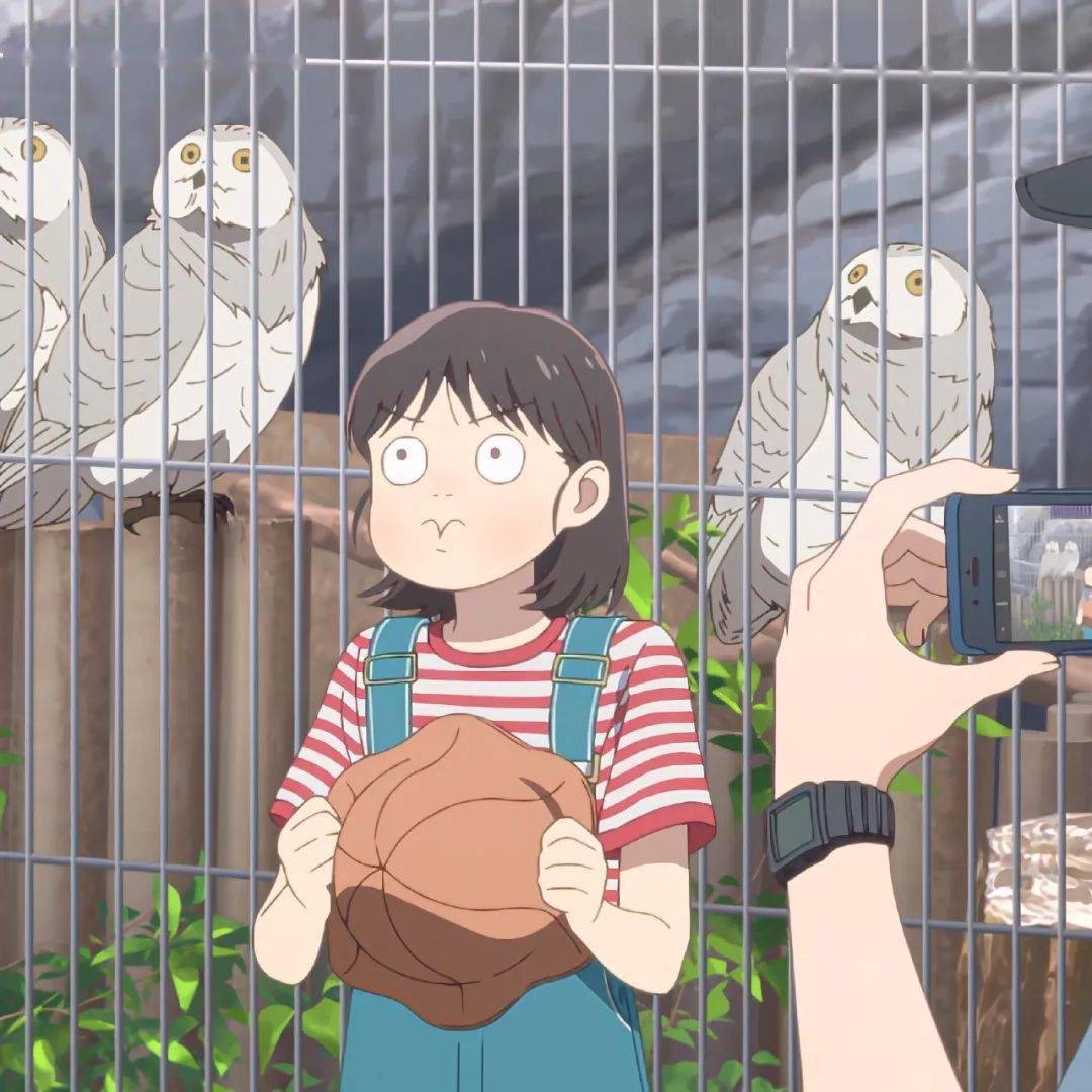 我可以一个代码题，一张cad图，一份ppt