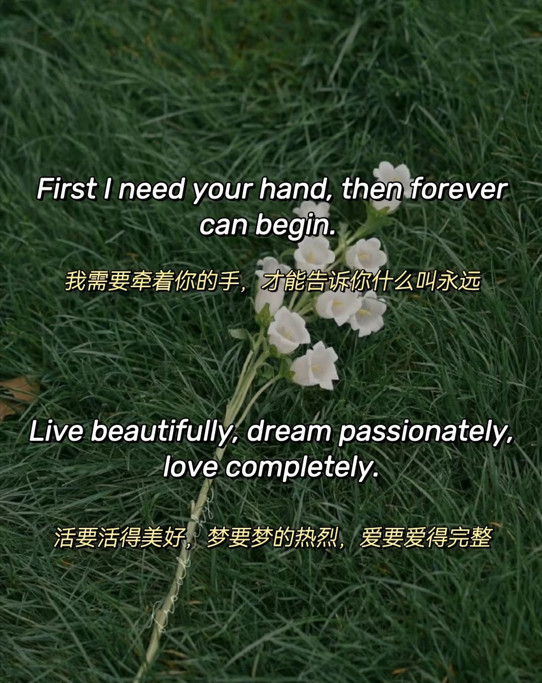 我可以帮助翻译500字以上的文章