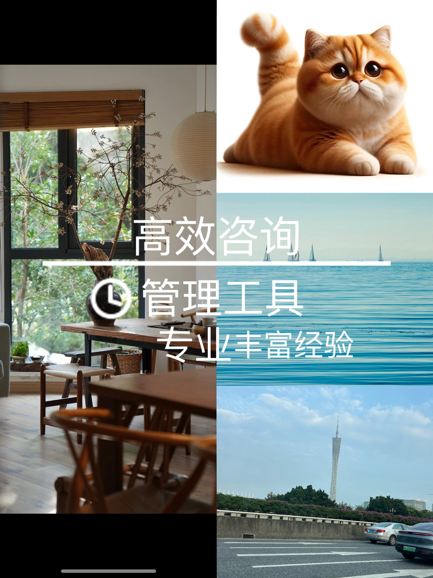 我可以50页以内咨询类PPT及1万字以内报告