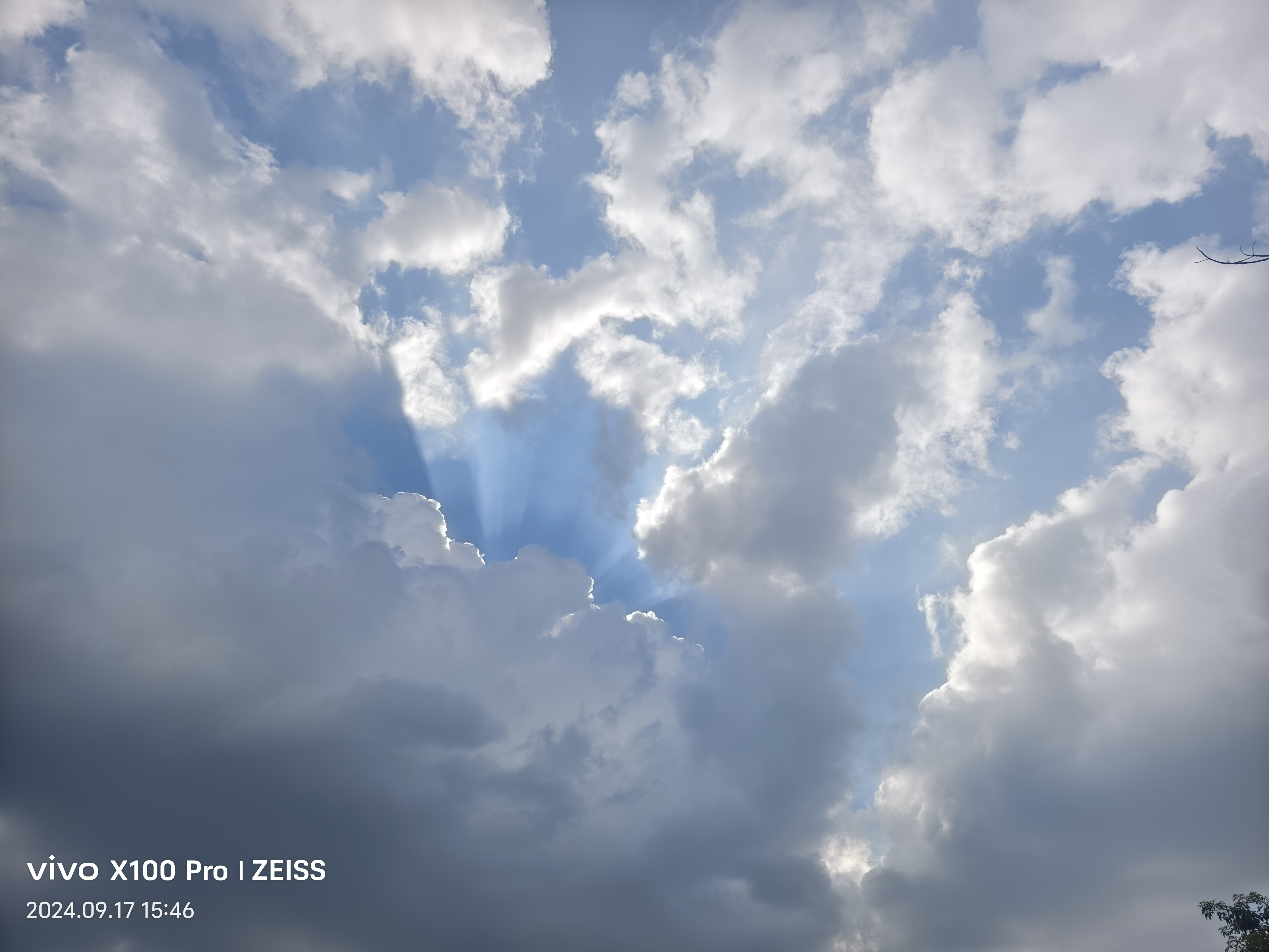 我可以做财务相关的工作，一张财务表格