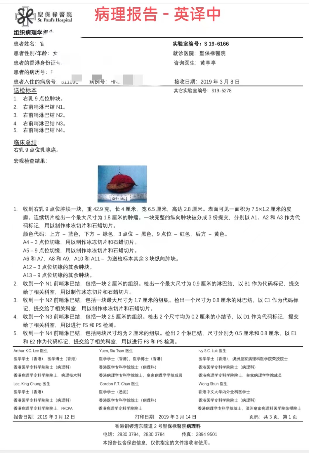 我可以做各种文件资料的中英文互译工作 时间充裕 单个文件1000字以上