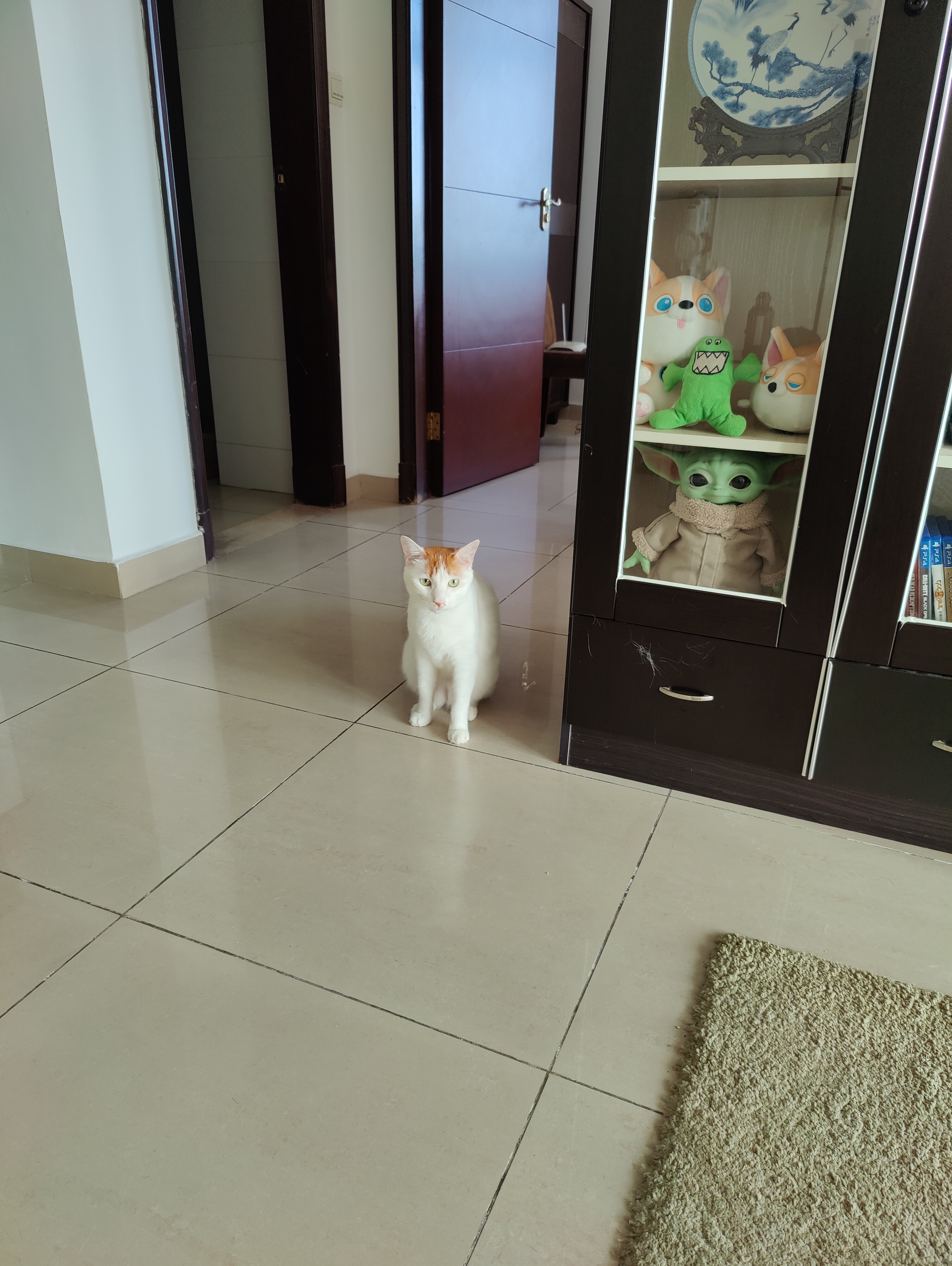 我可以宠物陪伴和照看，每周有5-6天时间可以自由支配，本人有养猫养狗7年多的经验，非常热爱小动物。