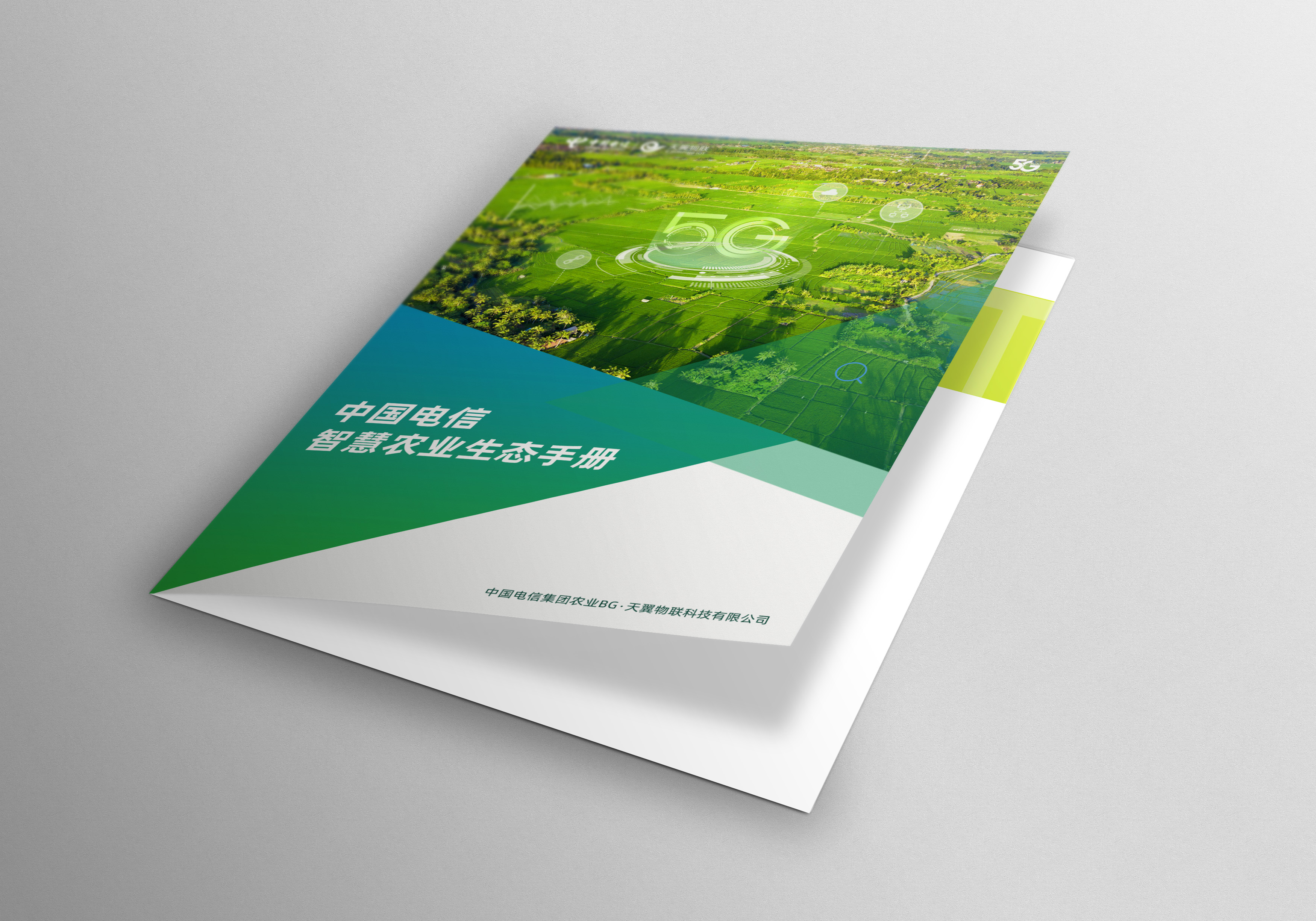 我可以完成一本公司介绍画册