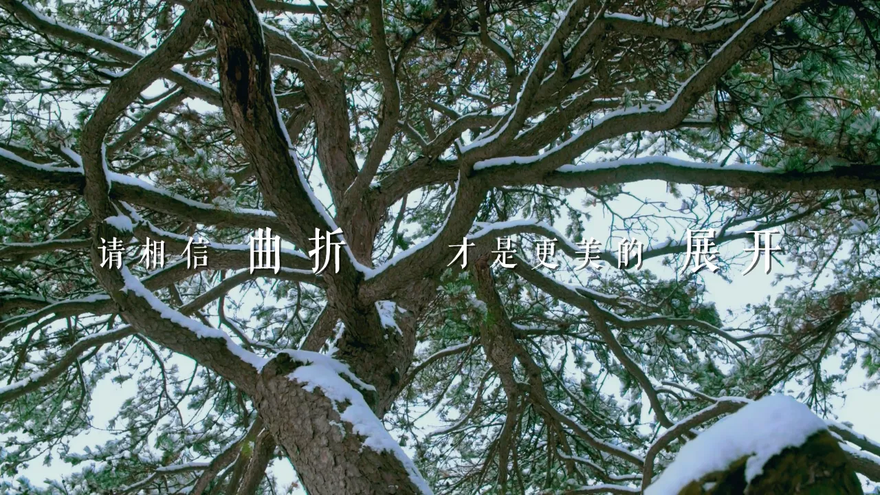 我可以写文章，135排版，拍美图，会Tvc